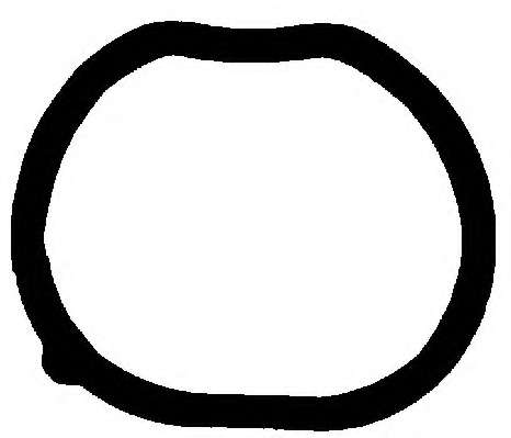 Прокладка, впускной коллектор