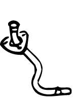 Труба выхлопного газа