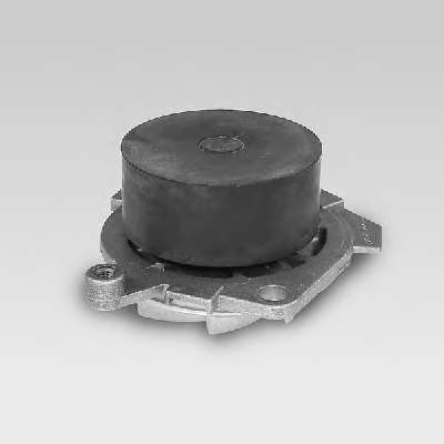 Водяной насос