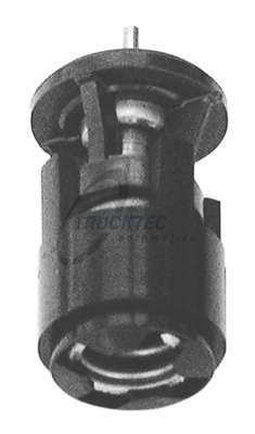 Термостат, охлаждающая жидкость