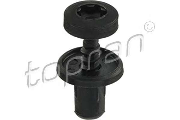 Кліпса (пласт)