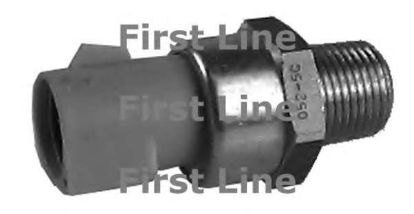 Термовыключатель, вентилятор радиатора