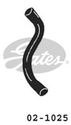 Шланг радиатора