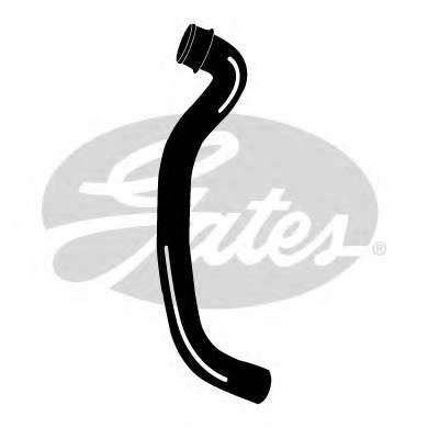 Шланг радиатора