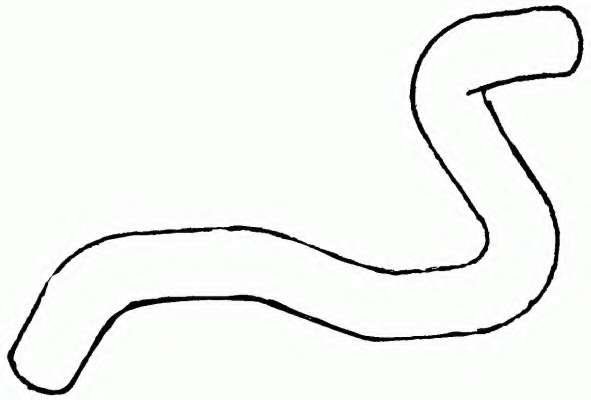 Шланг радиатора