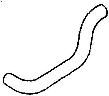 Шланг радиатора