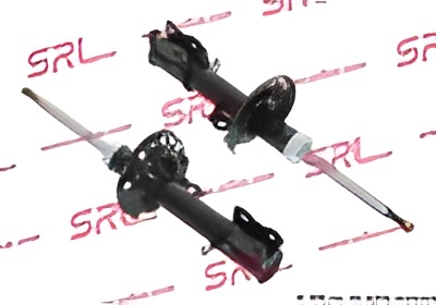 polcar-s010359g Газовий амортизатор