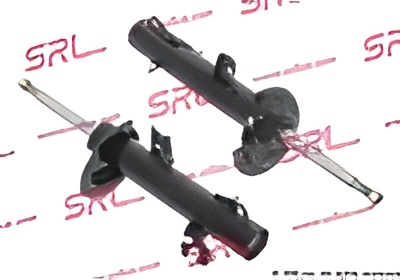 polcar-s010653g Газовий амортизатор